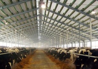 Молочные реки вытекают за пределы Рязанской области