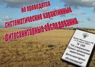 На площади в 440 га не проводятся систематические карантинные фитосанитарные обследования