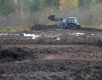 На птицефабрике выявлено нарушение ветеринарного законодательства