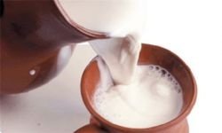 Импорт молочных продуктов в РФ в первом квартале 2014 года вырос на 80%