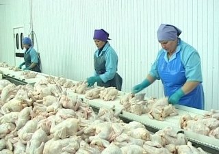 Прокуратура следит за выплатой зарплат на вологодских птицефабриках