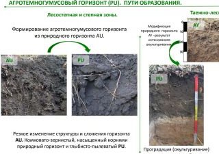 Оригинальное учебное пособие «Диагностика почв» создано географами МГУ и размещено в открытом доступе