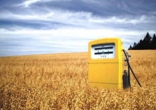 Ученые создали производство биотоплива при помощи грибов и бактерий