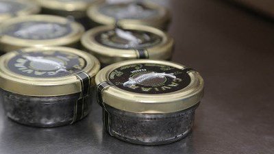 Вологодская РТФ «Диана» планирует увеличить объемы реализации продукции в регионе