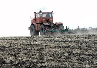 Космические спутники на службе зауральских аграриев