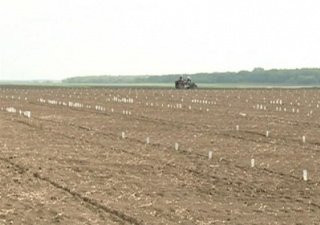 Амурские аграрии засевают соей сверхплановые гектары