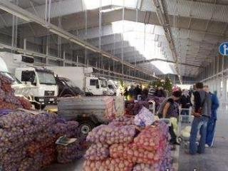 «Аграрный рынок» появится в Ростове
