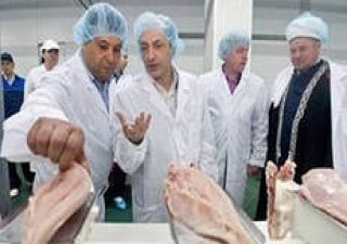 "Птицефабрика Акашевская" в Марий Эл вложит в развитие 24,5 млрд руб до 2015 г
