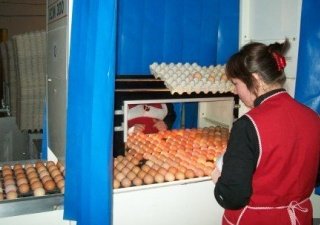 Господдержка сельхозпредприятий Шарьинского района из бюджетов всех уровней в I полугодии 2014г. составила 5,5 млн.рублей