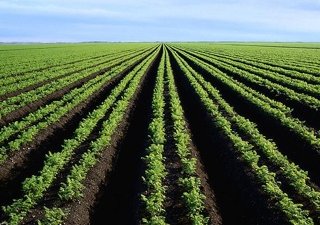 Форум FFA в Брюсселе: средний класс требует чистого продовольствия
