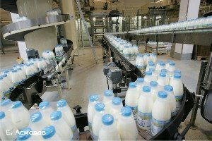 Любинский молкомбинат намерен выйти за пределы области и страны