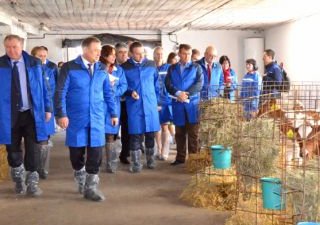 Чехи собираются возродить давнее сотрудничество с Ростовской областью