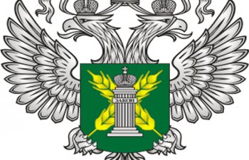 Временные ограничения на ввоз картофеля