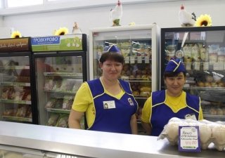 Эксперты предложили план разития российского агропрома