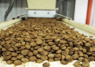 В Новосибирской области будут производить корма для животных из биоотходов