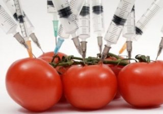 ГМО в продуктах - штраф предпринимателям