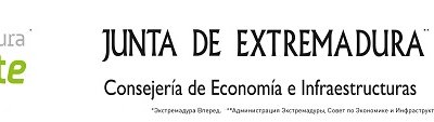 Оливки из Испании на новогоднем столе
