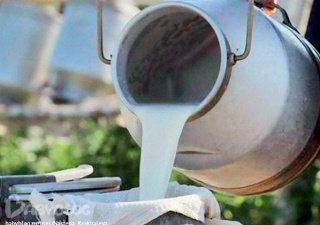 Минсельхоз: цена закупки молока растет