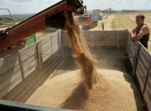 В Омскую область поступили 700 млн. рублей на развитие сельхозсектора