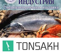 Как работает команда TONSAKH.RU в Южно-Сахалинске