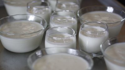 15-18 мая в Москве пройдет фестиваль здоровья «Экология мозга: искусство взаимодействия с окружающей средой»