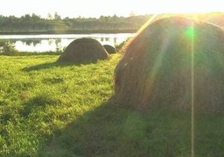 В Северной Осетии собирают урожай