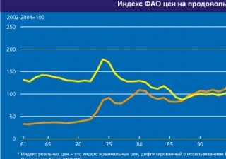 Цены на продовольствие остаются высокими, но стабильными