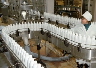 Обмелевшие зарубежные молочные реки не подняли российских производителей