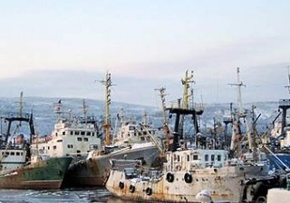 Росрыболовство вернет россиянам черную икру