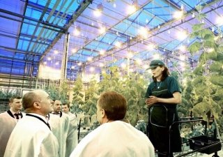 Южно-Уральское «Чурилово» обеспечит овощами Казахстан