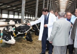 Южный Урал освоил инвестпроектные субсидии пяти месяцев