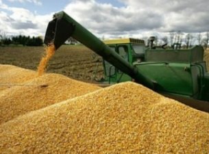 Приморские депутаты просят увеличить масштабы субсидирования села