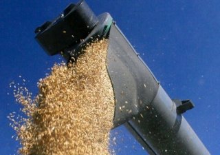 В Ставрополье собрали рекордный урожай зерна