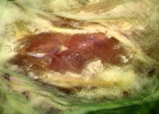 О возврате крупной партии замороженного мяса говядины