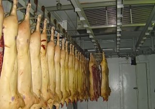 В Смоленской области планируют построить мясоперерабатывающее предприятие и птицефабрику