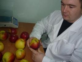 Исследования ввозимого в Россию груза