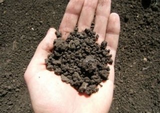 В Саратовской области внесены изменения в региональный закон «О земле»