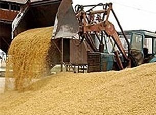 Россия увеличивает экспорт зерна