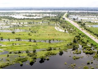 Водная стихия в СФО не приведет к нехватке зерна
