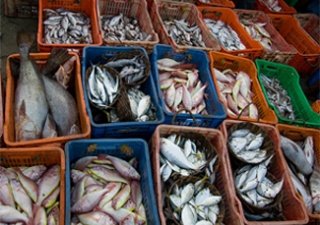 Россияне сократили объемы потребления рыбы