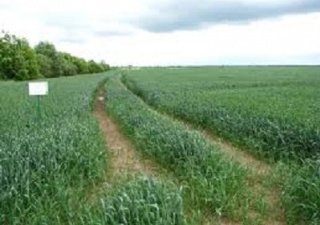 Сельхозпроизводители Калининградской области должны кооперироваться