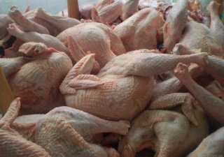В Мордовии открылся новый комплекс по переработке мяса птицы