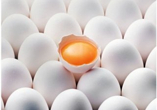 Кубань занимает третье место в России по производству мяса и яиц