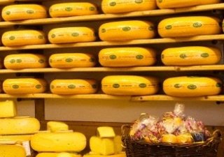 Россия и Беларусь намерены стать самыми надежными поставщиками молока в ТС
