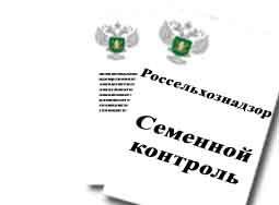 В Курской области 950 гектаров засеяли непроверенными семенами