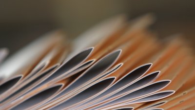 Декларация о соответствии