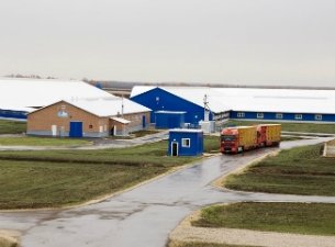 Второй молочный комплекс «Русмолко» будет запущен осенью
