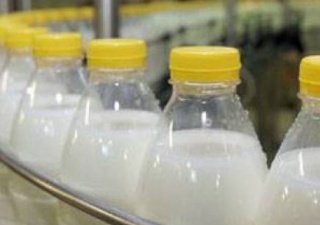 Бразилия начала экспорт молочных продуктов в Россию