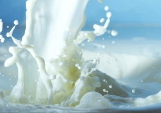 Хабаровские власти просят упростить процедуру выплат фермерам