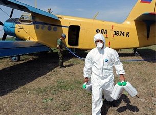 Оренбуржье готовится к борьбе с саранчой